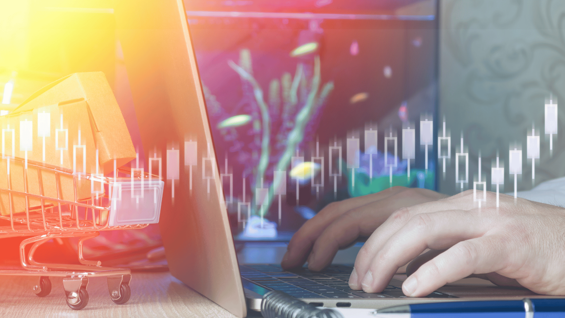Trading 212 iskustva: sve što trebate znati prije trgovanja